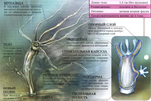 Кракен магазин kraken014 com