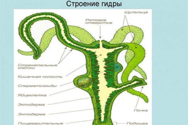 Кракен маркерлейс оф вход